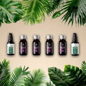 Noni Pflege Set Haut Regeneration