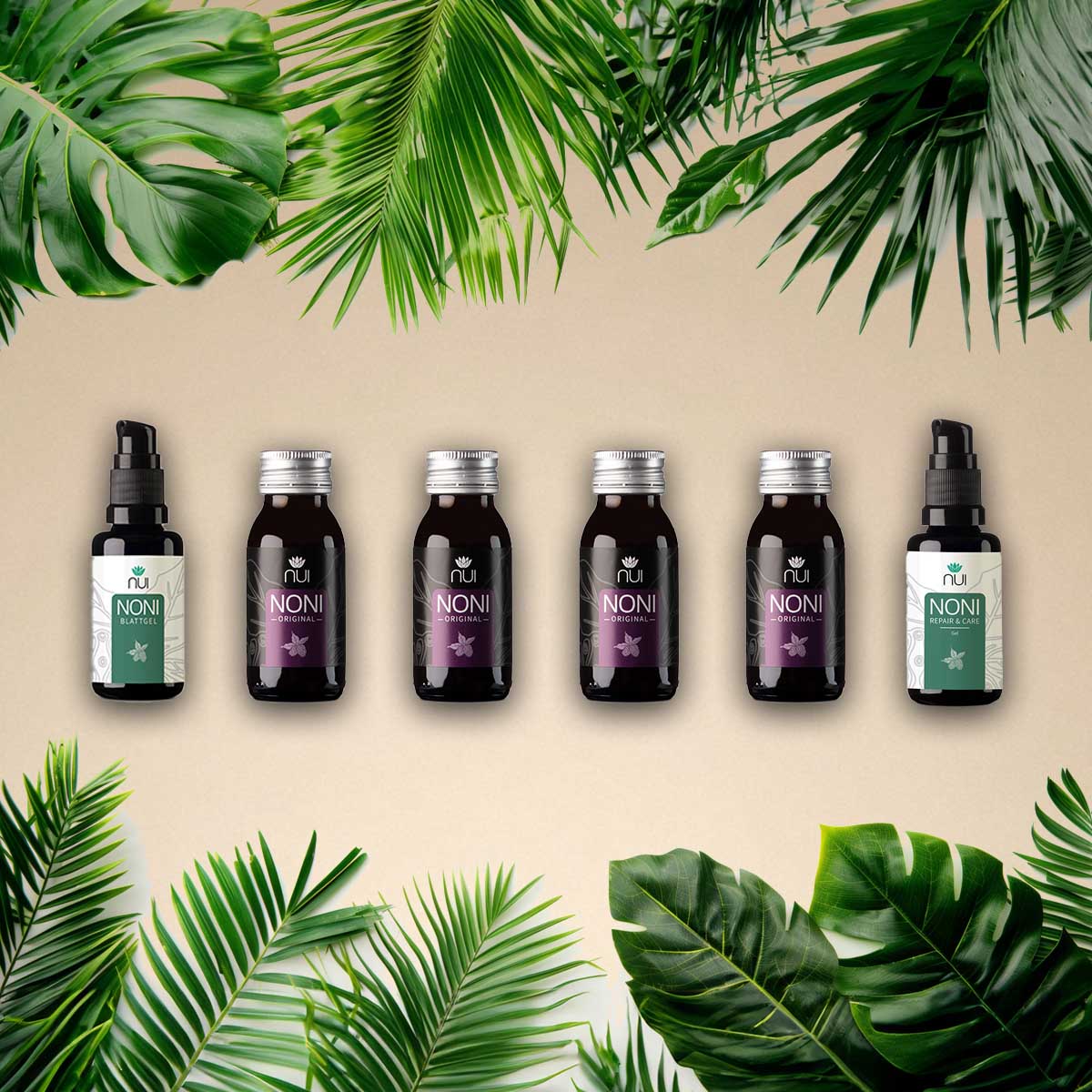 Noni Pflege Set Haut Regeneration